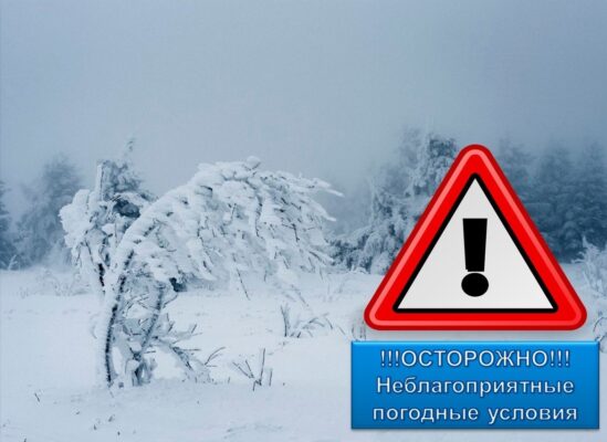 Минобрнауки Мурманской области напоминает о режиме работы школ при неблагоприятных погодных условиях.